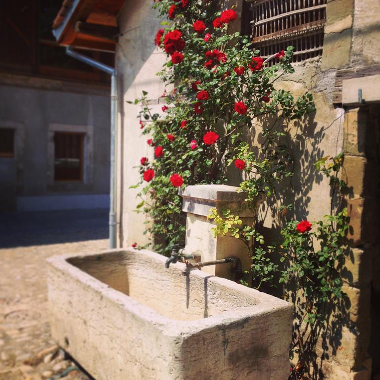 Hotel La Ferme Du Lignon Ginebra Exterior foto